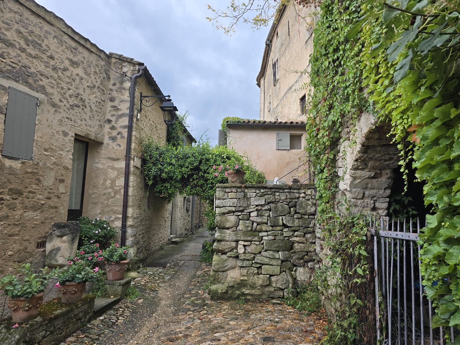 Callejón de piedra vacío con hiedra, macetas y una reja de hierro